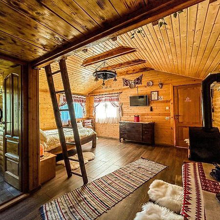 Chalets Du Bf Sighisoara Bagian luar foto