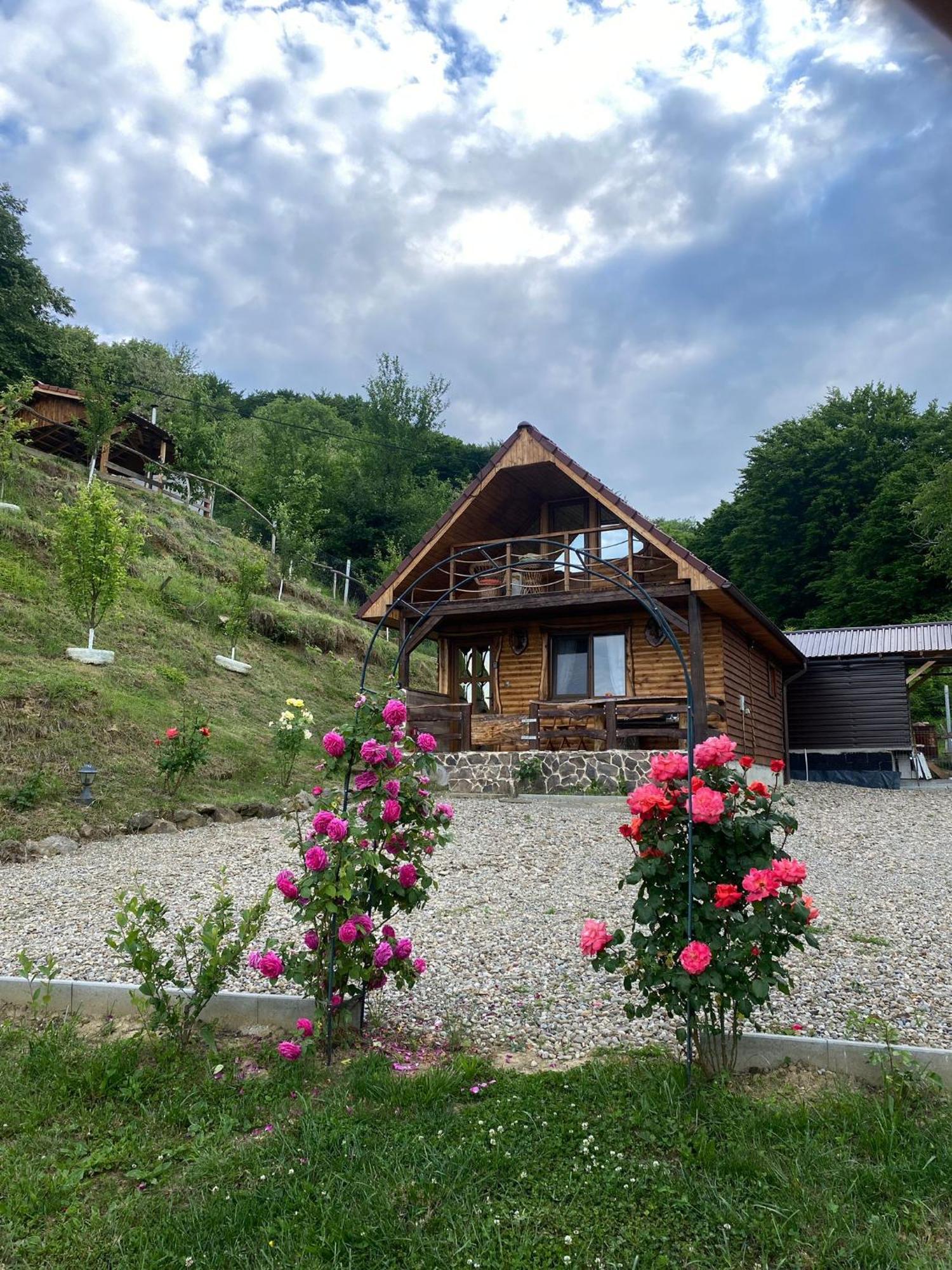Chalets Du Bf Sighisoara Bagian luar foto
